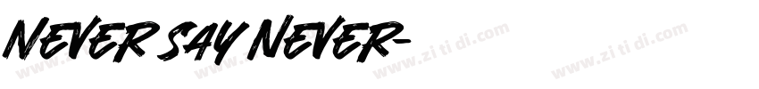 Never say never字体转换